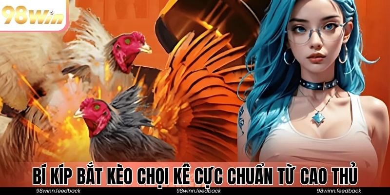 Bí kíp bắt kèo chọi kê cực chuẩn từ các cao thủ lão làng