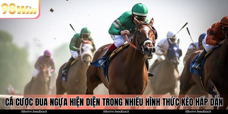 Cá cược đua ngựa hiện diện trong nhiều hình thức kèo hấp dẫn