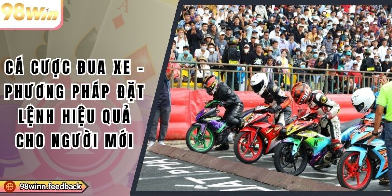 Cá Cược Đua Xe - Phương Pháp Đặt Lệnh Hiệu Quả Cho Người Mới