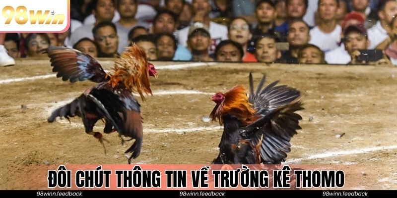 Đôi chút thông tin về trường kê Thomo 