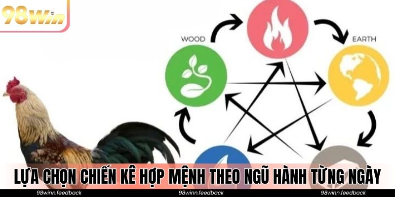 Lựa chọn chiến kê hợp mệnh theo ngũ hành từng ngày