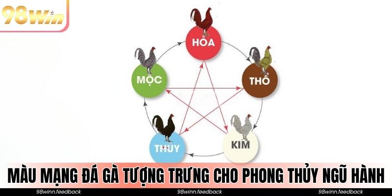 Màu mạng đá gà tượng trưng cho phong thủy ngũ hành