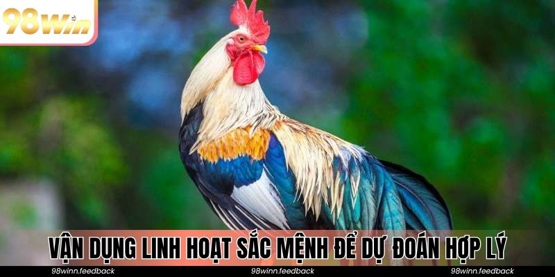Vận dụng linh hoạt sắc mệnh để dự đoán hợp lý