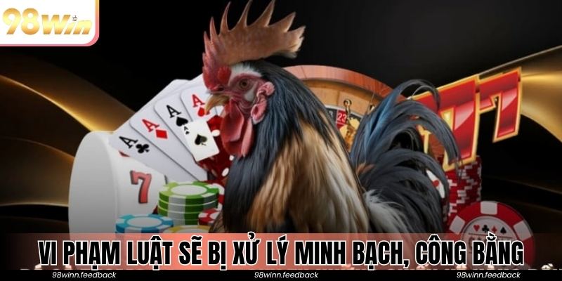 Vi phạm luật sẽ bị xử lý minh bạch, công bằng tuyệt đối